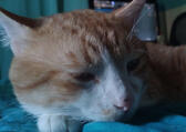This is Sushi This is Sushi